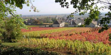 Village de Puligny-Montrachet