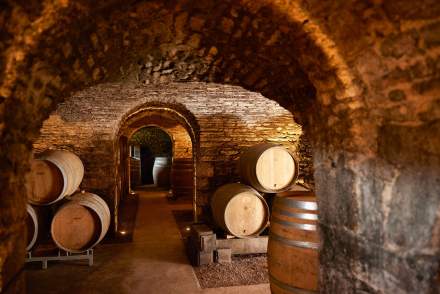 Visite des caves du Château de Saint-Aubin