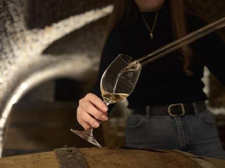 Experience au coeur des caves