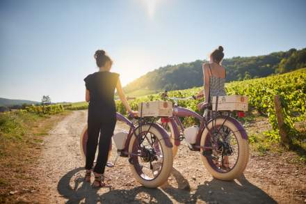 Route des Vins Vélo Bourgogne - Château Saint-Aubin (21) 