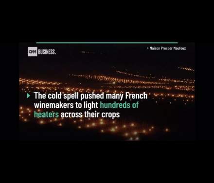 Prosper Maufoux on CNN - spring frost bourgogne montrachet