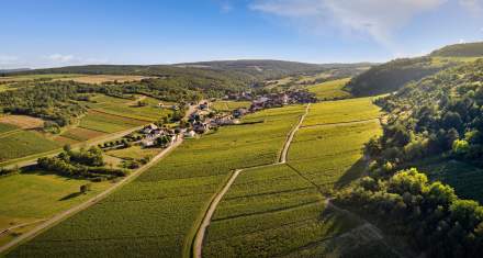 Vigne et village