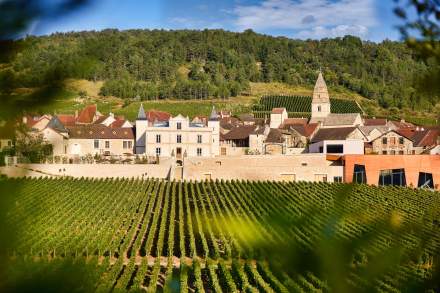 Vue d'ensemble du Château de Saint-Aubin