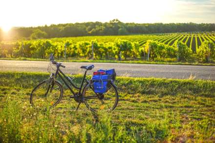 Vélo Route Beaune Santenay Vignoble Bourgogne